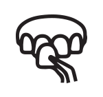 full-service-dentistry