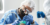 Dental Implant Screws