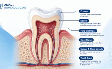 what is a root canal