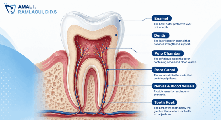 what is a root canal